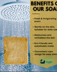Handmade Bay and Olive Soap