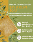 Handmade Bay and Olive Soap
