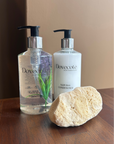 Small Natural Sea Sponge