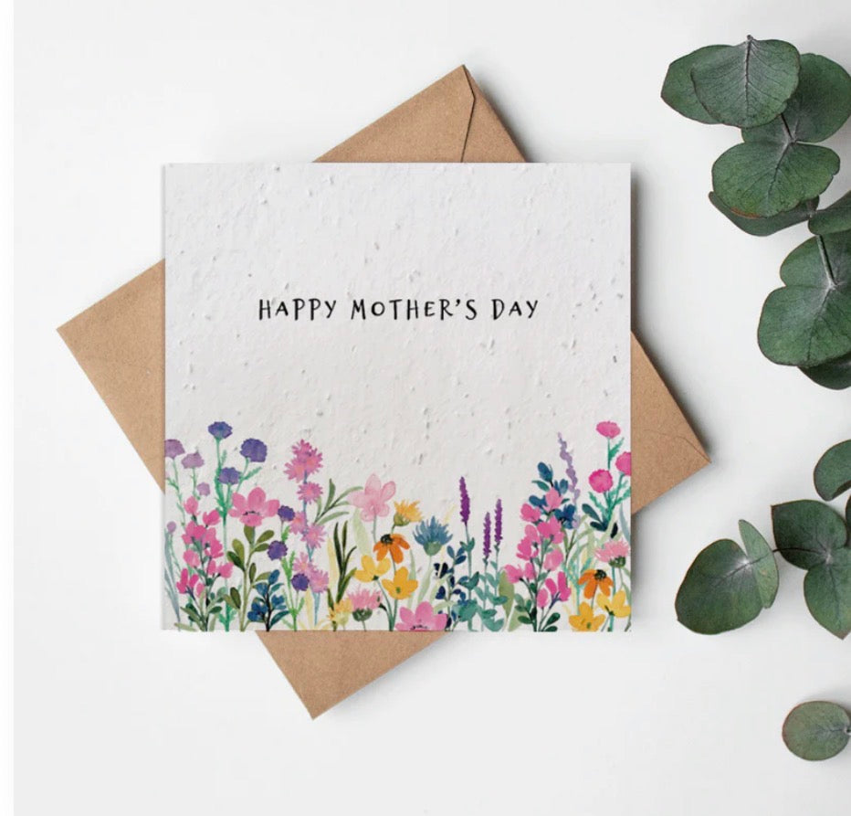 Seeded Greeting Cards