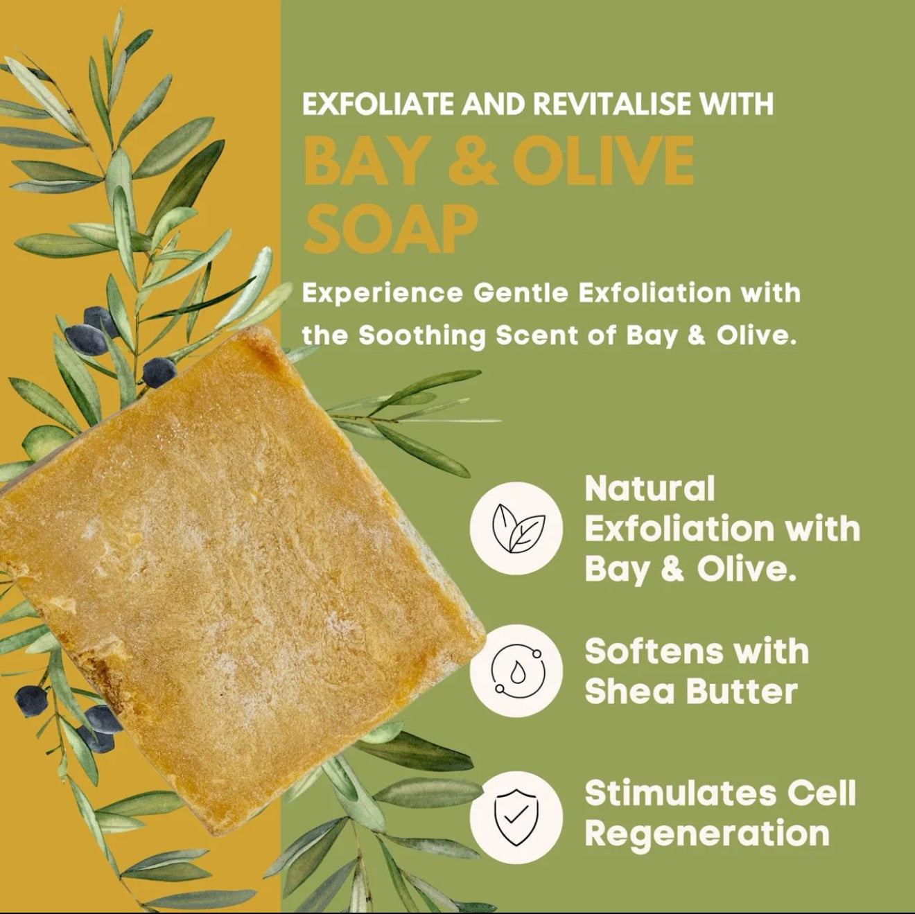 Handmade Bay and Olive Soap