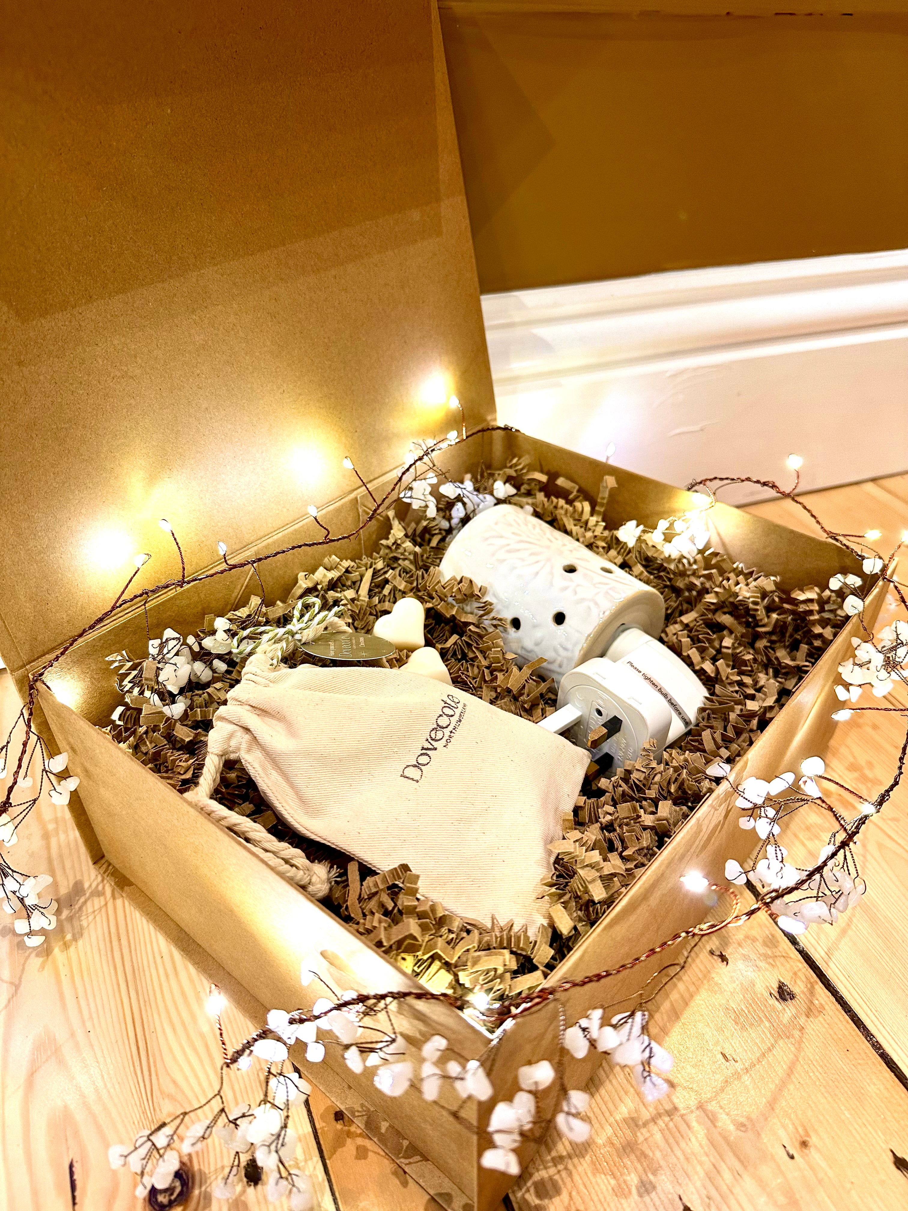 Plug in Wax Burner Gift Set