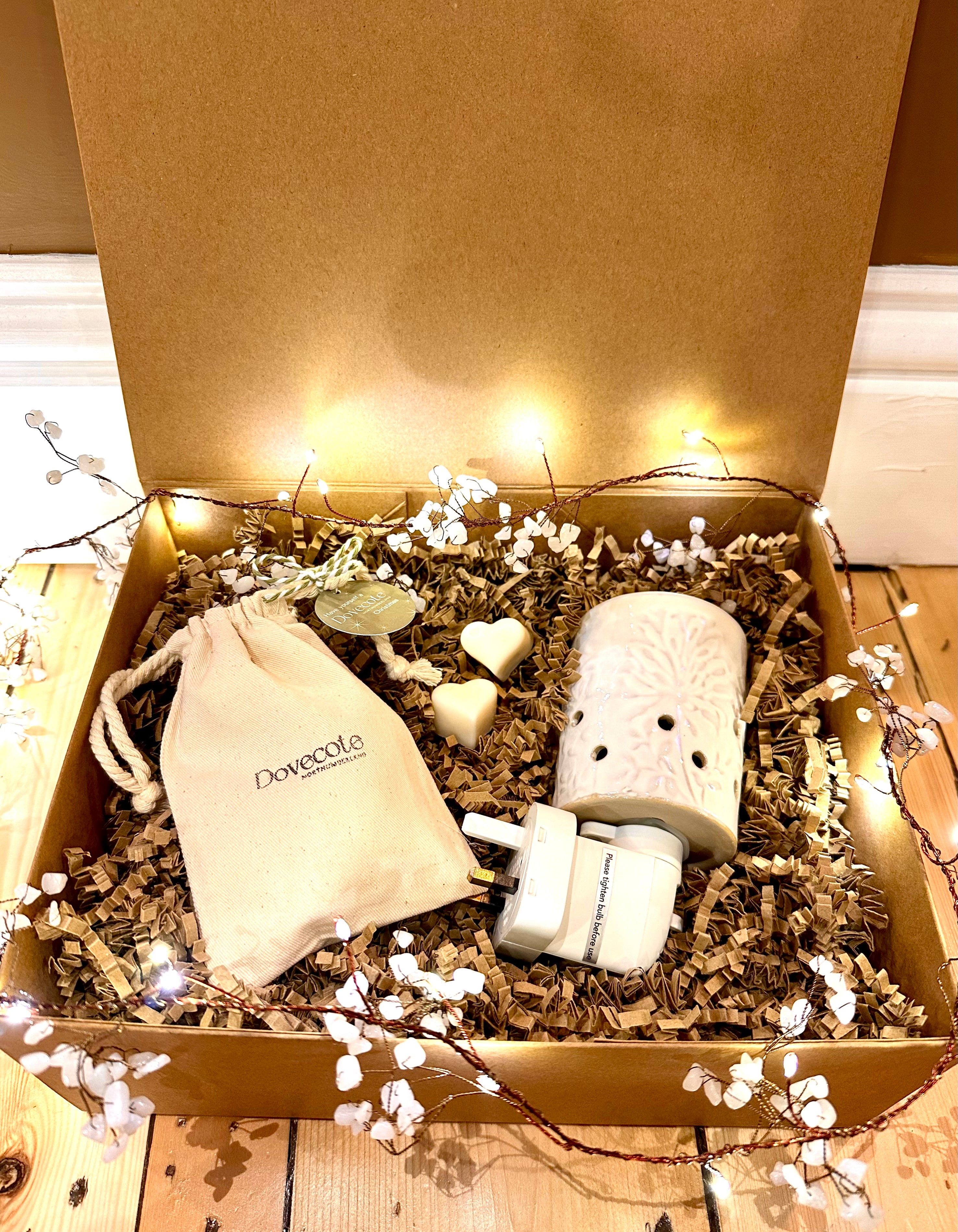 Plug in Wax Burner Gift Set