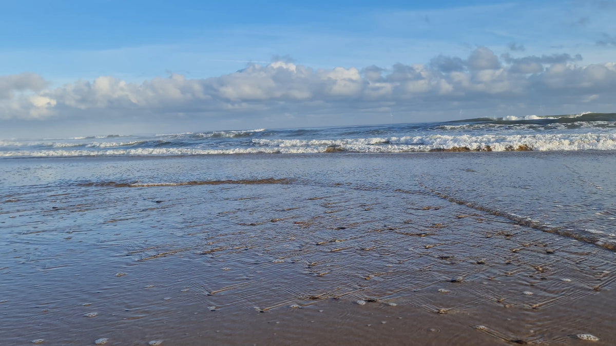 Made in Northumberland — the Northumberland coast